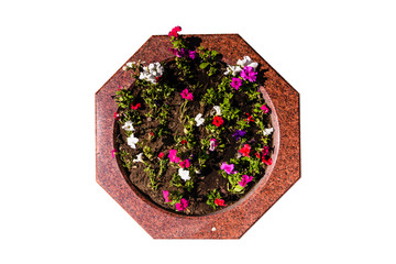 Granite decorative flower bed with multicolored flowers