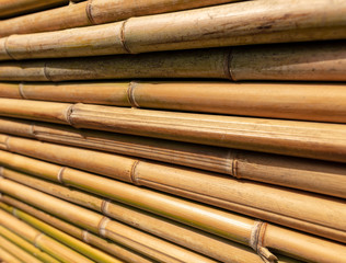 Bamboo twig wall as abstract background