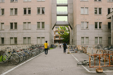 street in the university