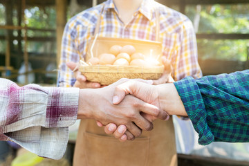 People shaking hands in a egg chicken farm,Handshake of business partners,farmer's agreement. Agriculture agronomist food business contract concept