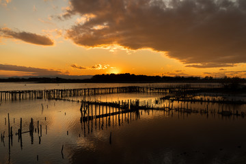 朽ちた桟橋と夕暮れ　群馬県　館林市
