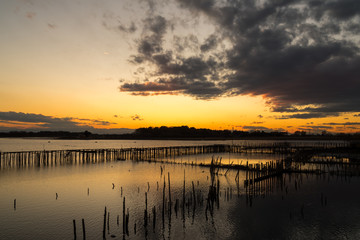 朽ちた桟橋と夕暮れ　群馬県　館林市