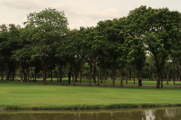 Fototapeta na wymiar Scenic view in a park by a lake