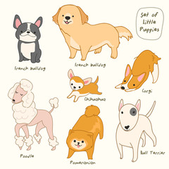 Set of Puppies isolated on pastel background : Vector Illustration