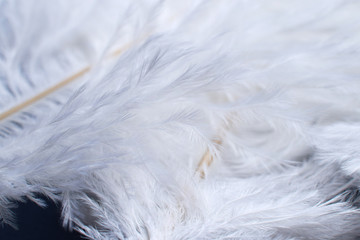 macro photo of the texture of a bunch of white fluffy ostrich feathers