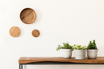 Stylish scandinavian room interior with design wooden console, rings on the wall and beautiful composition of plants. Modern composition of home interior. White walls, copy space. Home decor.