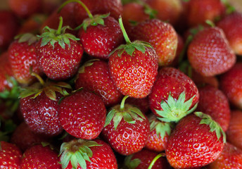 Background from freshly harvested strawberries. Top view