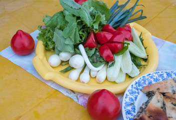 Vegetable appetizer on a dish. Fresh green onions, tomatoes, cucumbers, lettuce. Baked Cake On the background of the table is yellow. Evening, summer.