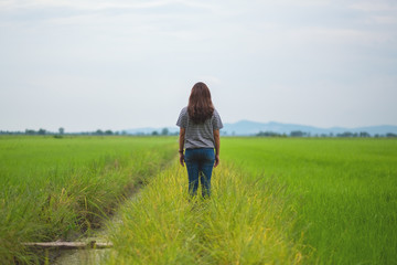 Naklejka na ściany i meble Rear view image of a woman standing and looking at a beautiful rice field with feeling relaxed and calm