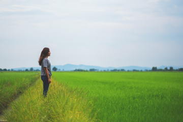 Naklejka na ściany i meble A woman standing and looking at a beautiful rice field with feeling relaxed and calm