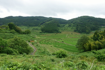 日本の岡山県の美咲町大垪和西地区の美しい棚田