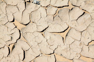 Fototapeta premium dry ground in the outdoors