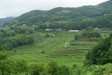 日本の岡山県の美咲町大垪和西地区の美しい棚田