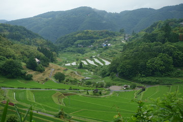日本の岡山県の美咲町大垪和西地区の美しい棚田