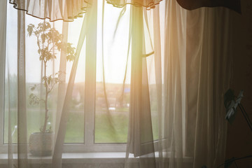 rays of sunlight through transparent curtain of open window of room shine with soft light into bedroom from street, light fresh wind blows decorative curtain on window