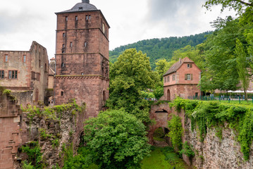 Fototapeta premium ruins inside the castle grounds of Heidelberg