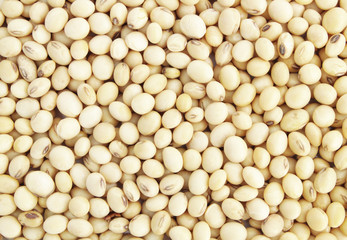 Soy beans background
