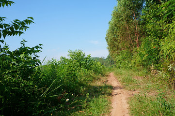 Hillside trails and blue sky