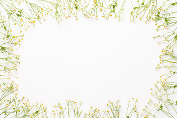 Chamomile flowers floral framee. Flat lay, top view.