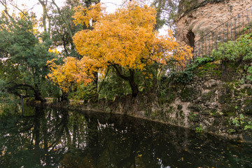 Autumn in the beautiful Carmen de los Martires, Granada (Spain)