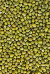 Green bean or mung bean background