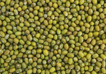 Green bean or mung bean background