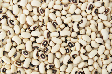 Black eyed beans close up