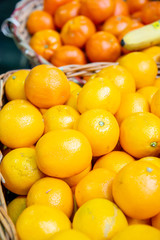 Citrus fruits at the market display stall