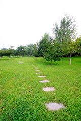 Fototapeta na wymiar Stone path and trees in the grass