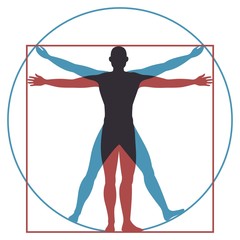 Vitruvian man. Leonardo da vinci human body perfect anatomy proportions in circle and square. Vector silhouette - obrazy, fototapety, plakaty