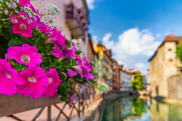 Fototapeta na wymiar Bright flowers on the streets of Annecy, France.