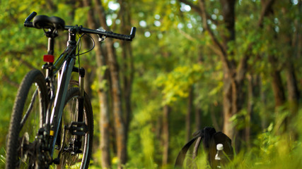 Fototapeta na wymiar Mountain bike on the background of green summer forest. Lifestyle. Ride a bike