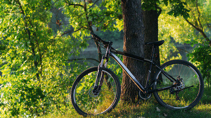 Fototapeta premium Mountain bike on the background of green summer forest. Lifestyle. Ride a bike