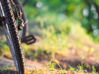 Fototapeta na wymiar Mountain Bike close-up on the green summer forest Fund copy space