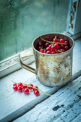 Stainless steel cup with sweet summer berries in the daylight