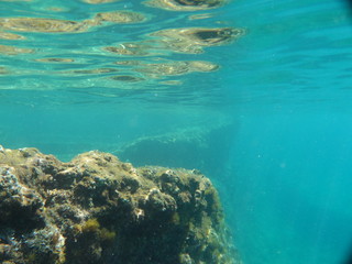Fototapeta na wymiar view of the sea and coral reef underwater