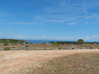 landscape with trees and blue sky