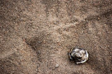 Burnt plastic in the sand with a trace of a human shoes