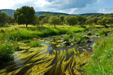 Garciaz river, Garciaz, Las Villuercas, Caceres, Extremadura, Spain, Europe