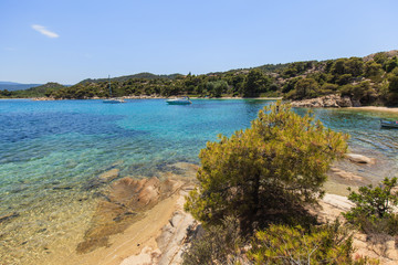 Obraz premium beautiful summer seascape of bay with clear sea water