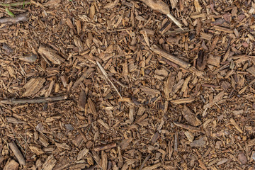 texture of wood rot on the ground