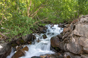 Mountain stream flowing between stones and green bushes. Blurred motion. Traveling in Kyrgyzstan