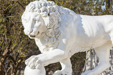 White marble sculpture of a lion holding a paw on a ball. The symbol of power. Stone statue in the park in the palace ensemble. Ancient animal figures symbolizing the power of the emperor.