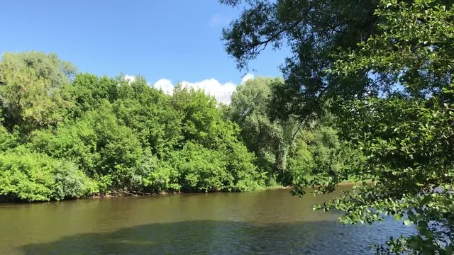 Zhizdra River in the forest in the Optina Hermitage. River noise in a summer sunny day