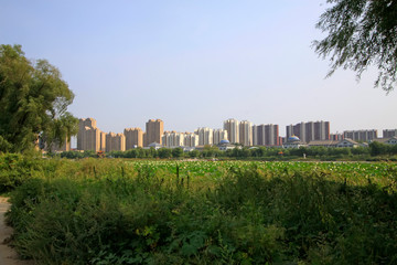 Obraz premium Urban construction scene, China