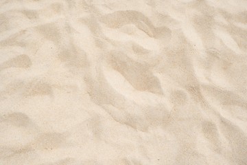Fototapeta na wymiar Close up Beach Sand Texture Background. Full Frame Shots.