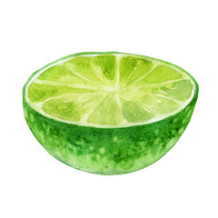 Fototapeta na wymiar Watercolor illustration. Image of lime. Half a lime.