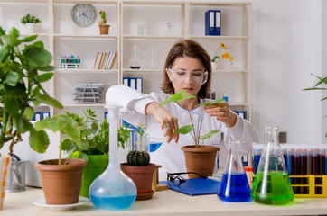 Old female biotechnology chemist working in the lab 