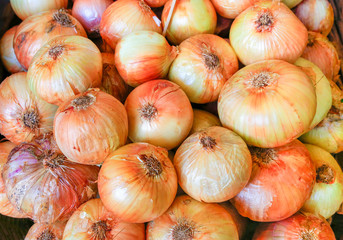 Heap of yellow orange onions at market