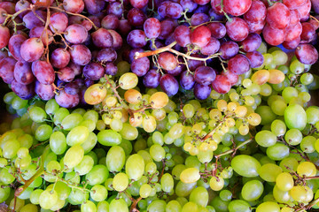 Blue and white grape bunches at market